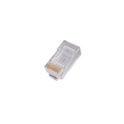 EVI CAT6 UTP RJ45 Plug 100 PCS