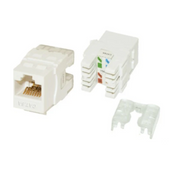 EVI CAT6 UTP Keystone Jack, white